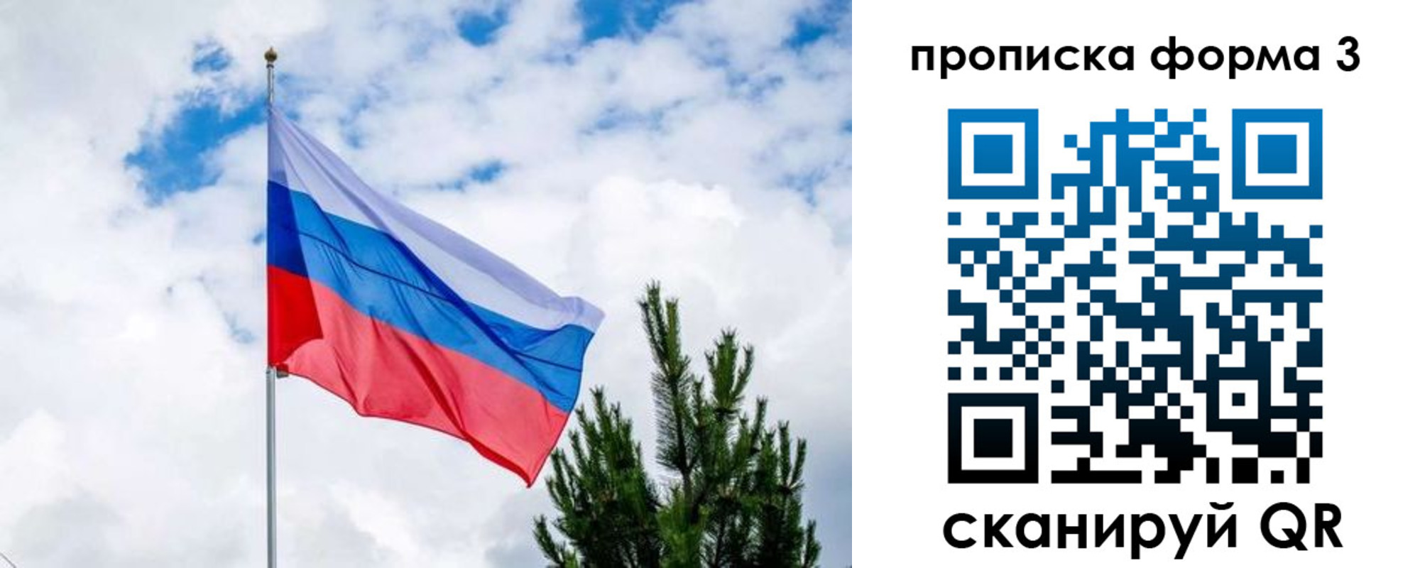 прописка для школы в Электрогорске